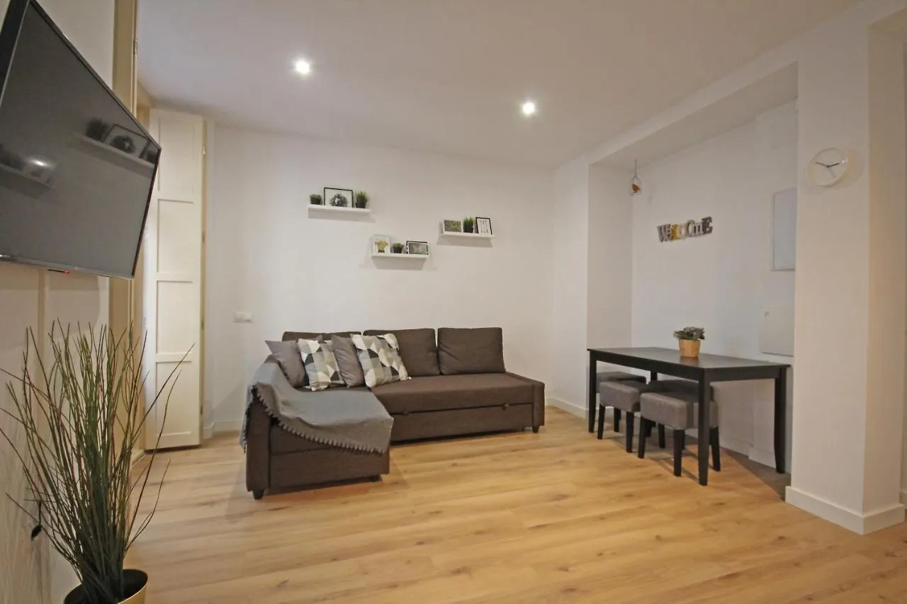 Apartment Edificio Somera